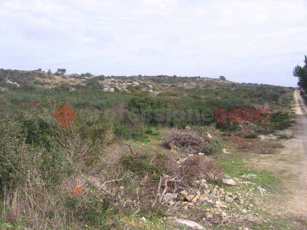 Terreno a Manduria in Contrada Surii, s/n - Foto 3