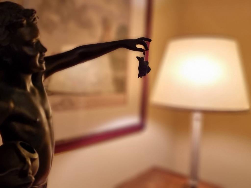 immagine di copertina