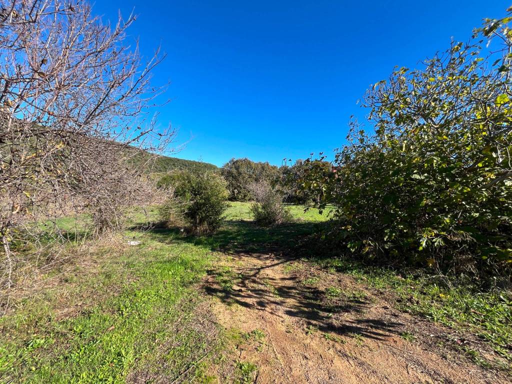 Terreno a Bari sardo in Via Torino - Foto 3