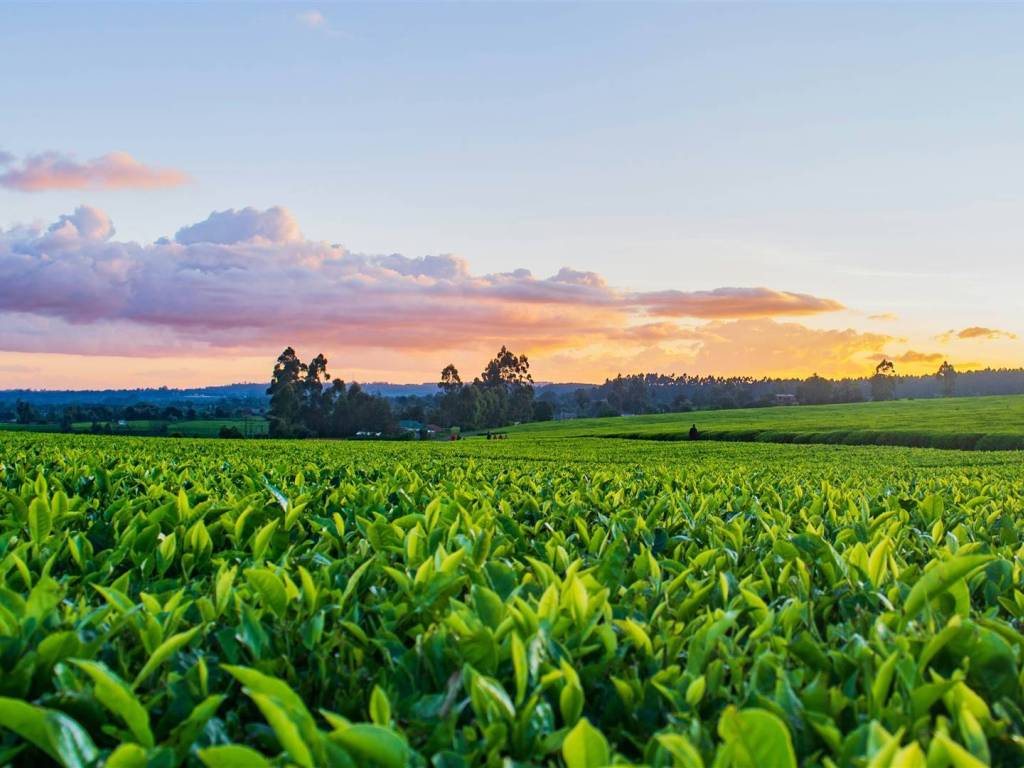 Immobile a Aprilia - Foto 5