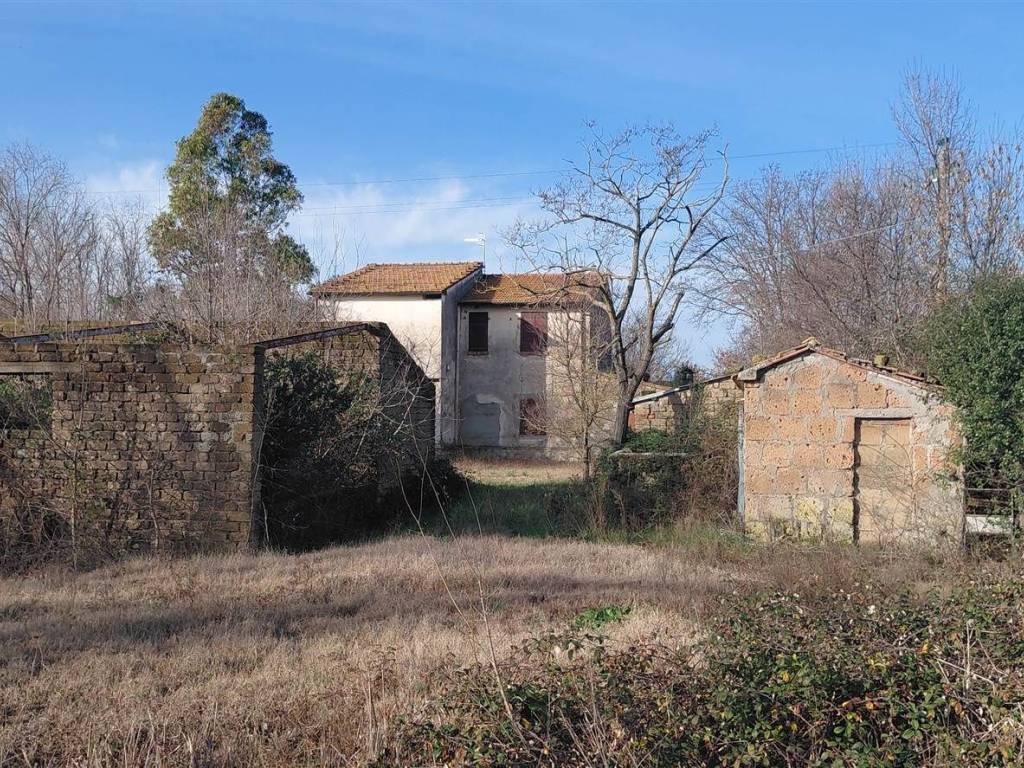 Rustico / casale a Scansano - Foto 2