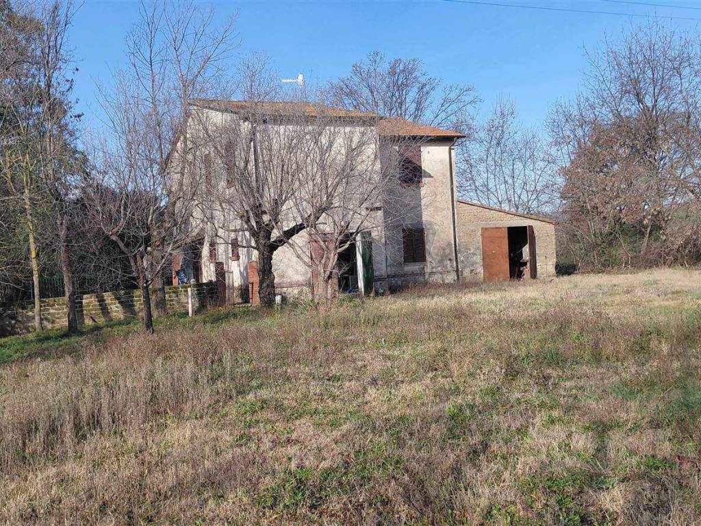 Rustico / casale a Scansano - Foto 3