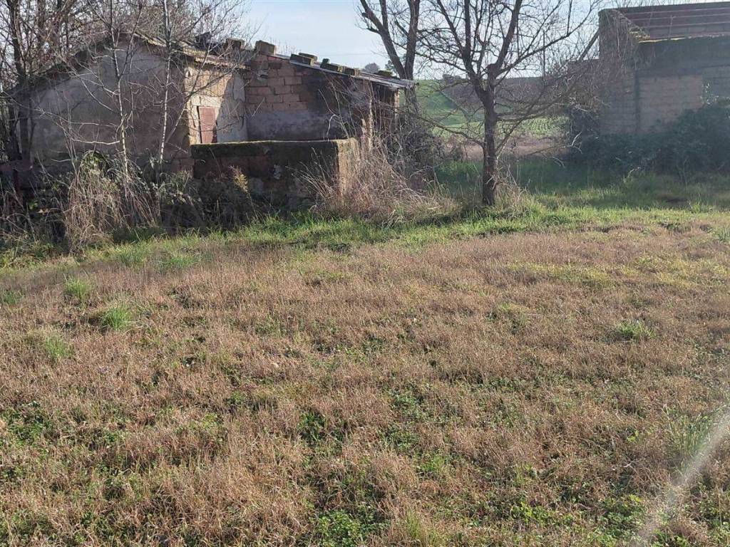 Rustico / casale a Scansano - Foto 4