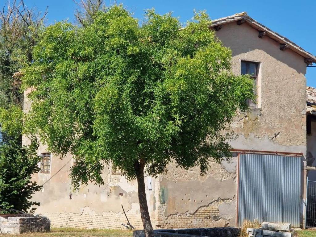 Rustico / casale a Spello in Zona Limiti - Foto 5