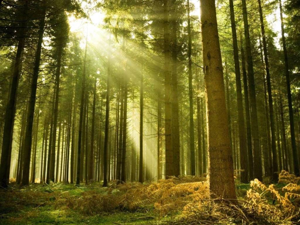 Villa a Chioggia - Foto 4