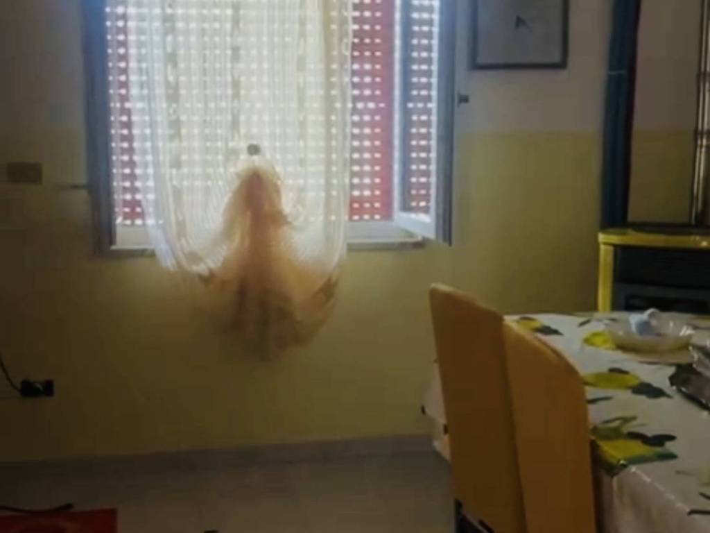 Appartamento a Centola in Via Mirabella,10 - Foto 2