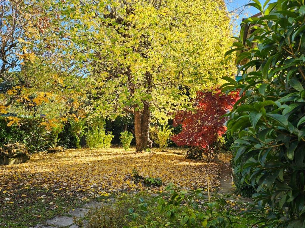 Villa a San biagio di callalta in Via Postumia Centro, 126 - Foto 4