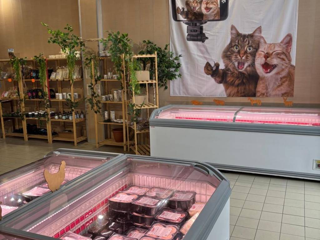 Immobile a Pavia in Via Monte Grappa, 28 - Foto 2