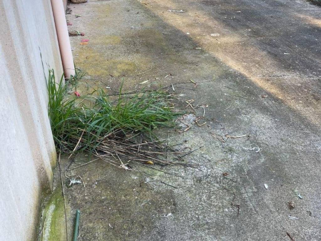 Immobile a Grosseto - Foto 5