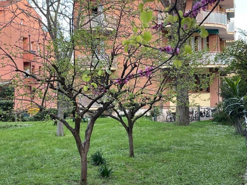Appartamento a Pesaro - Foto 5