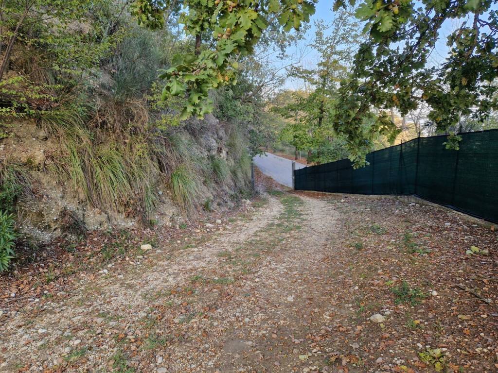 Rustico / casale a Montalto delle marche - Foto 2