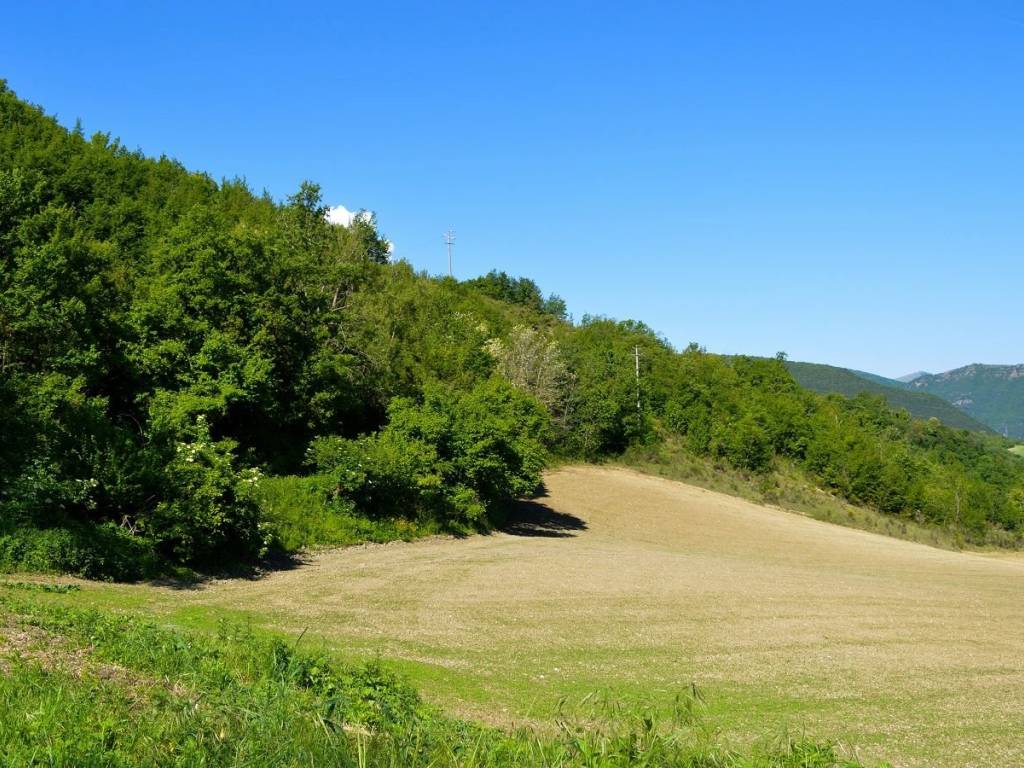 Terreno a Pieve torina in Strada Provinciale Pievetorina-Colfiorito - Foto 5
