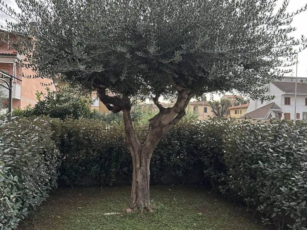 Appartamento a Gavorrano - Foto 2