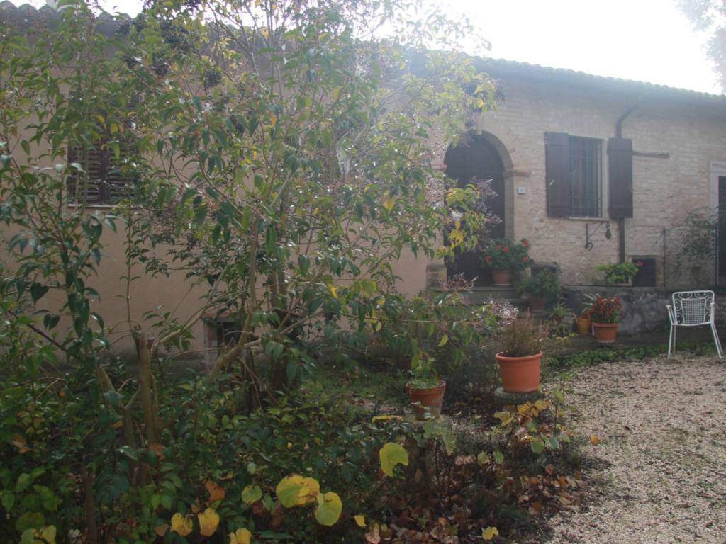 Rustico / casale a Montefalco - Foto 2