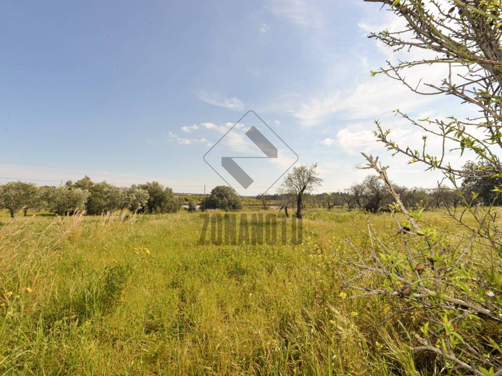 Terreno a Noto in SP19, 7 - Foto 2