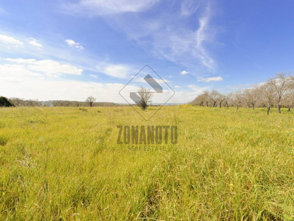 Terreno a Noto in SP19, 7 - Foto 3