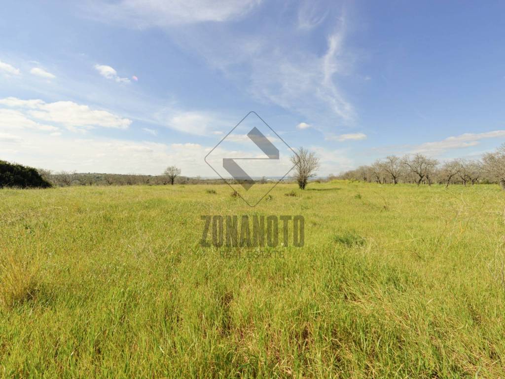Terreno a Noto in SP19, 7 - Foto 4