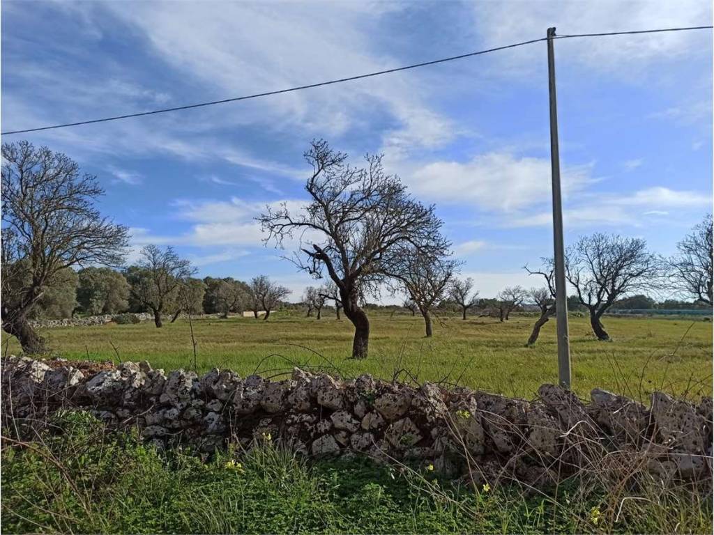 Terreno a Carovigno - Foto 3