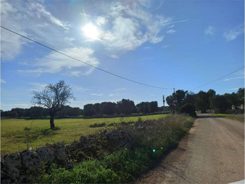 Terreno a Carovigno - Foto 4