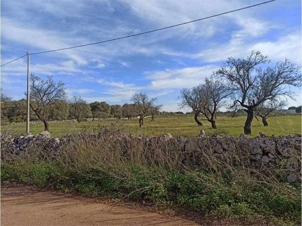 Terreno a Carovigno - Foto 5