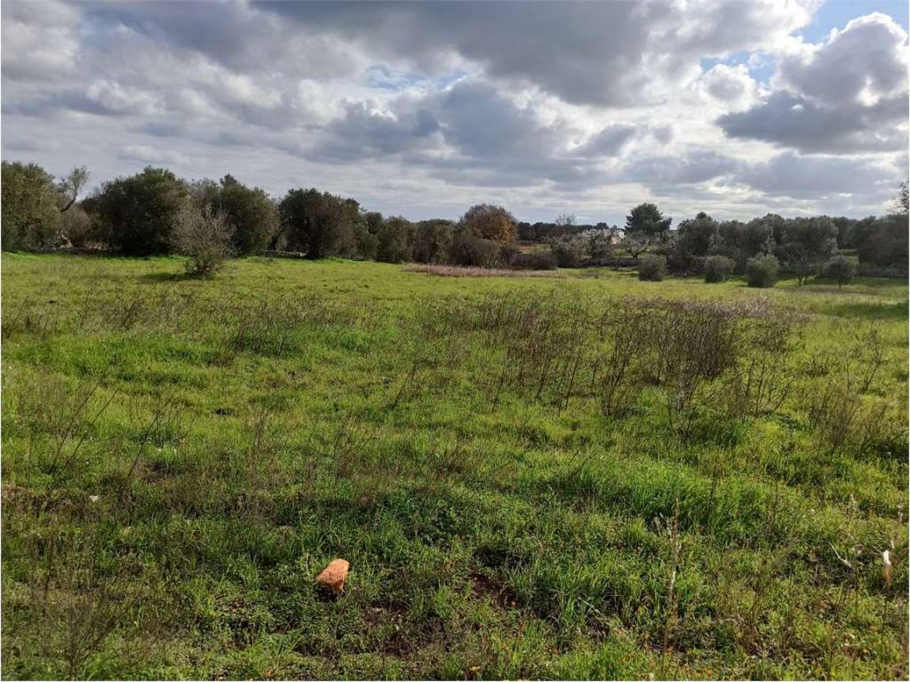 Terreno a Ostuni - Foto 5