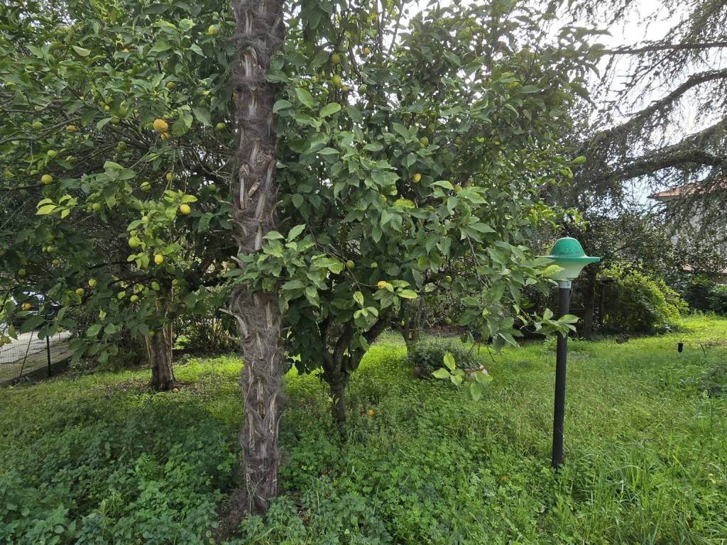 Terreno a Pescara in Via Fabiani - Foto 5