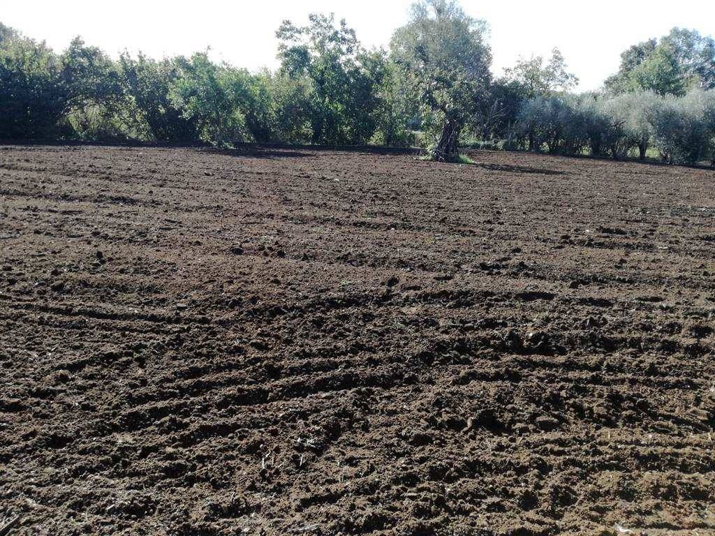 Terreno a Eboli - Foto 2