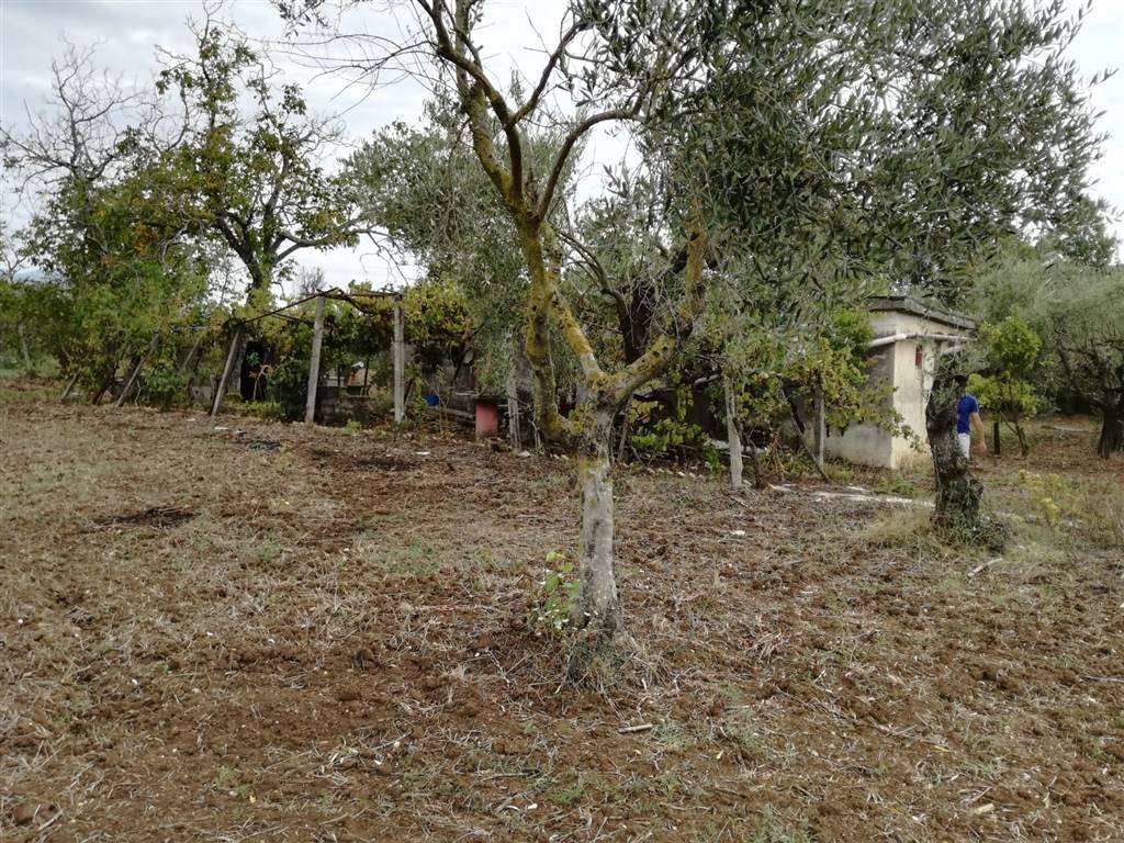 Terreno a Eboli - Foto 3