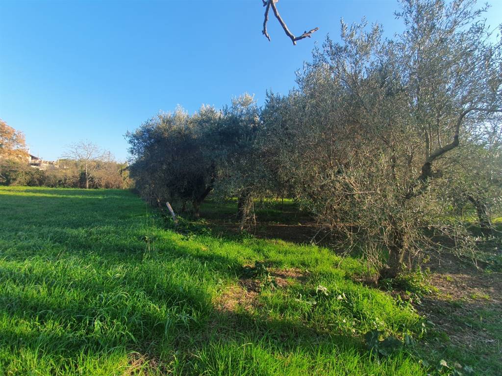 Terreno a Eboli - Foto 5