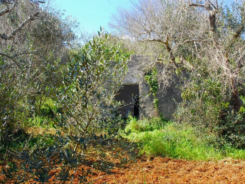 Rustico / casale a Tricase in Strada Provinciale Vaste Tricase Gagliano del Capo - Foto 3