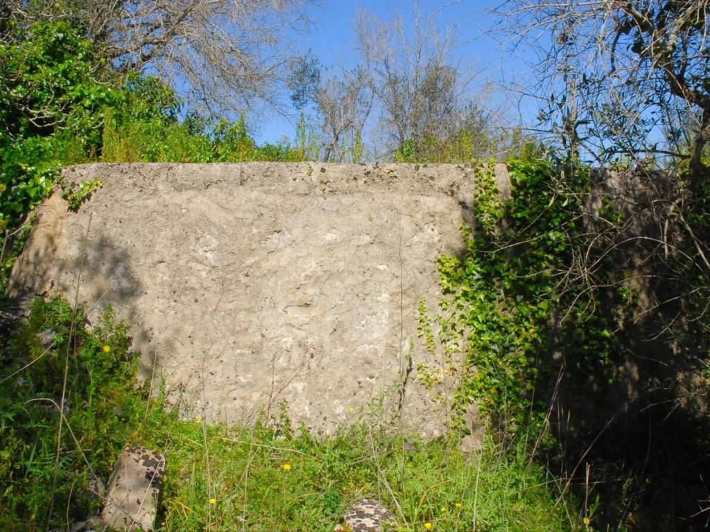 Rustico / casale a Tricase in Strada Provinciale Vaste Tricase Gagliano del Capo - Foto 5
