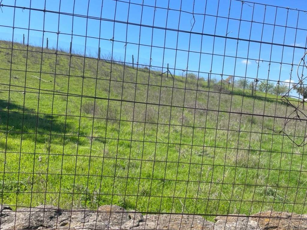 Terreno a Soleminis in Via Funtanasusu - Foto 3