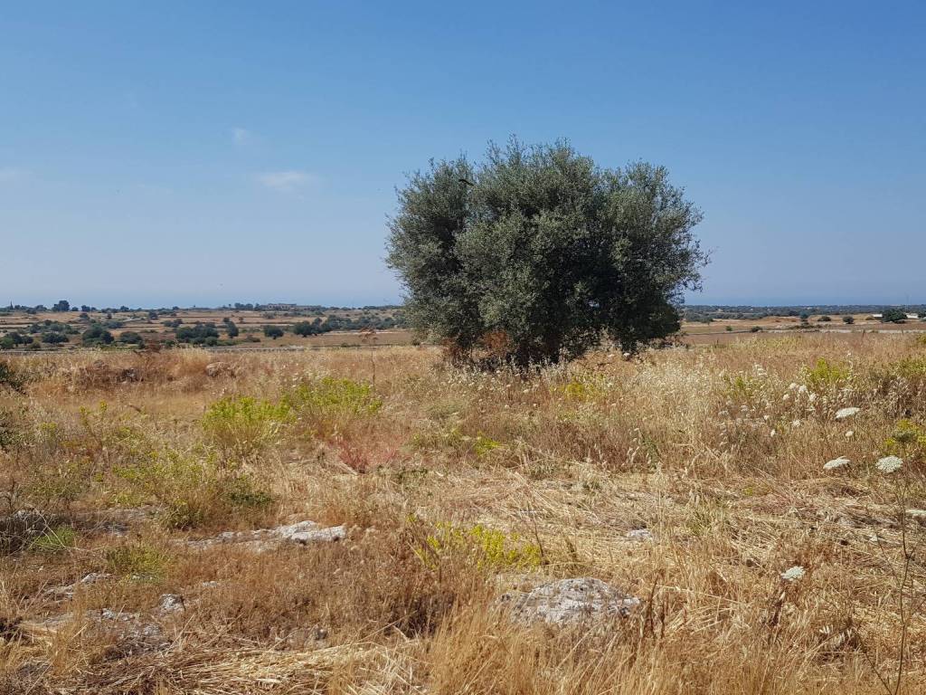 Terreno a Modica - Foto 5