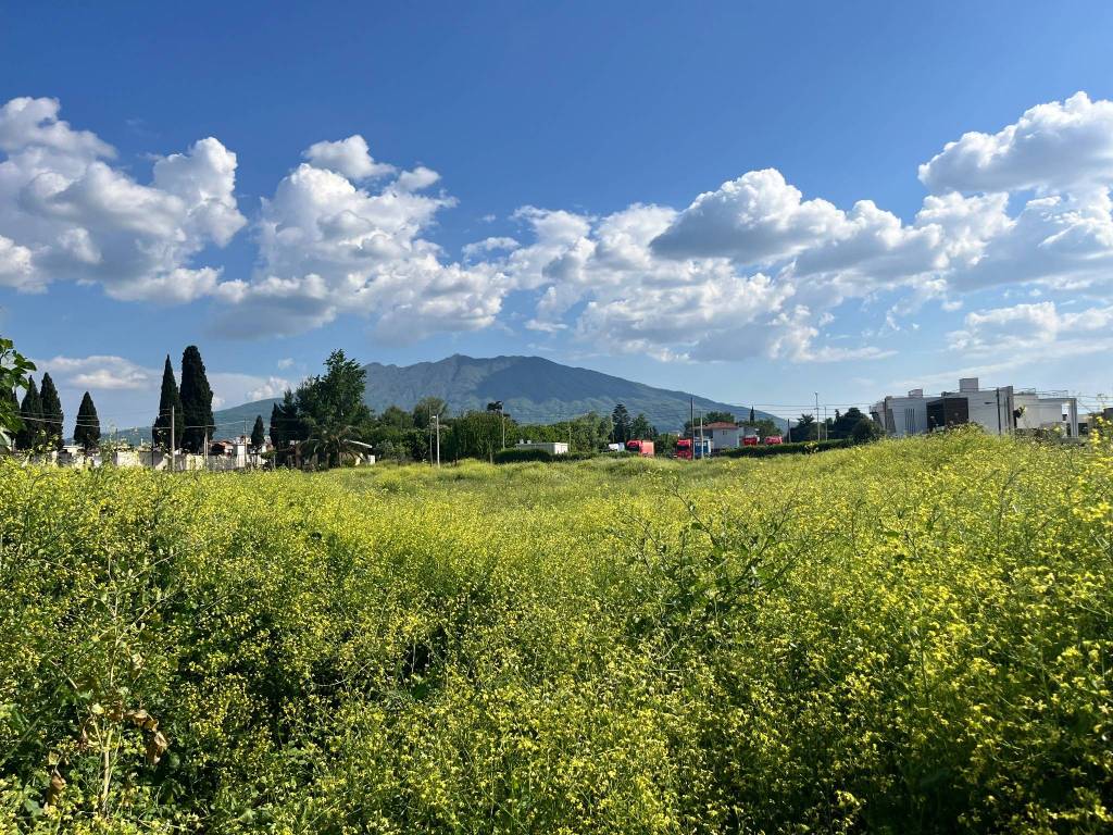Terreno a Castello di cisterna in Viale Aldo Moro, 12 - Foto 4