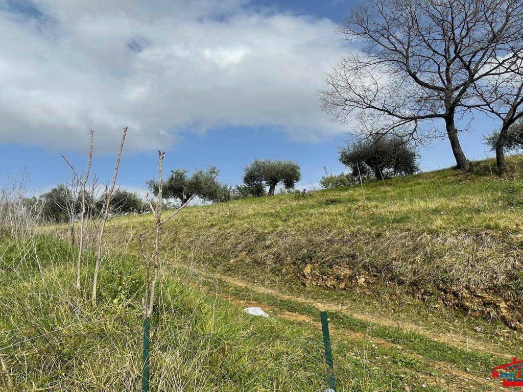 Terreno a Cosenza - Foto 2