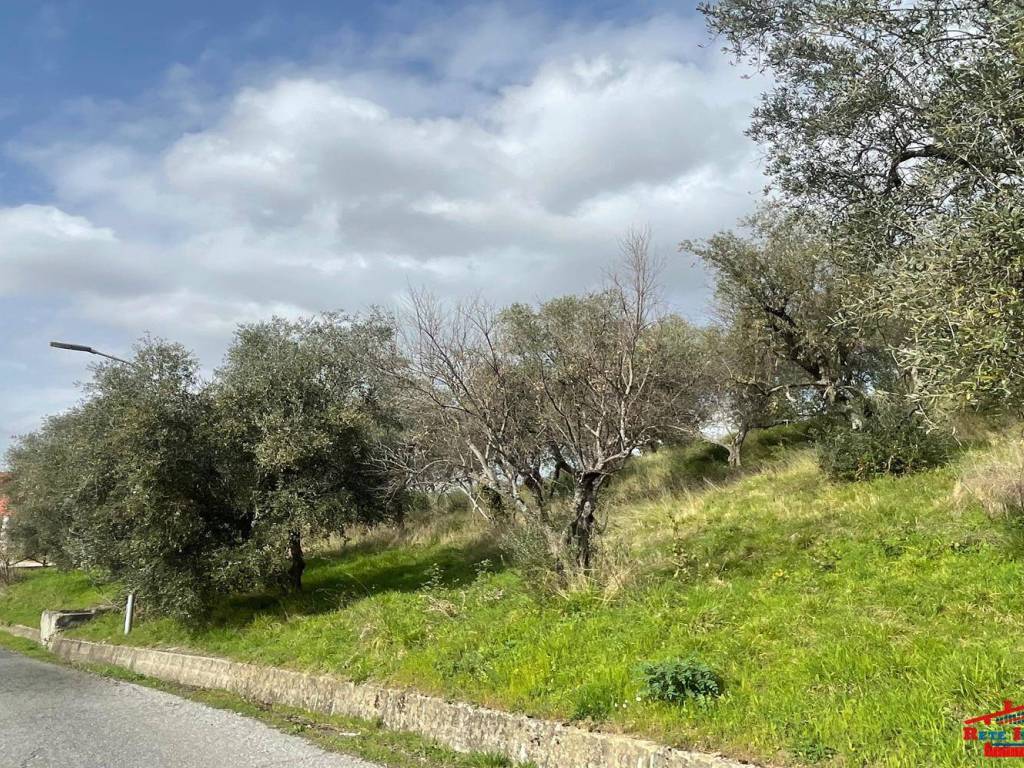 Terreno a Cosenza - Foto 5