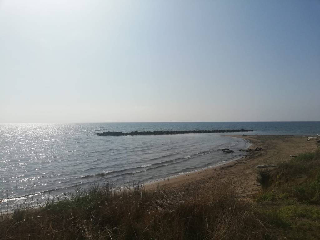 Terreno a Tarquinia - Foto 4