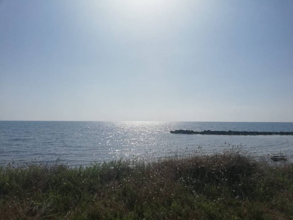 Terreno a Tarquinia - Foto 5
