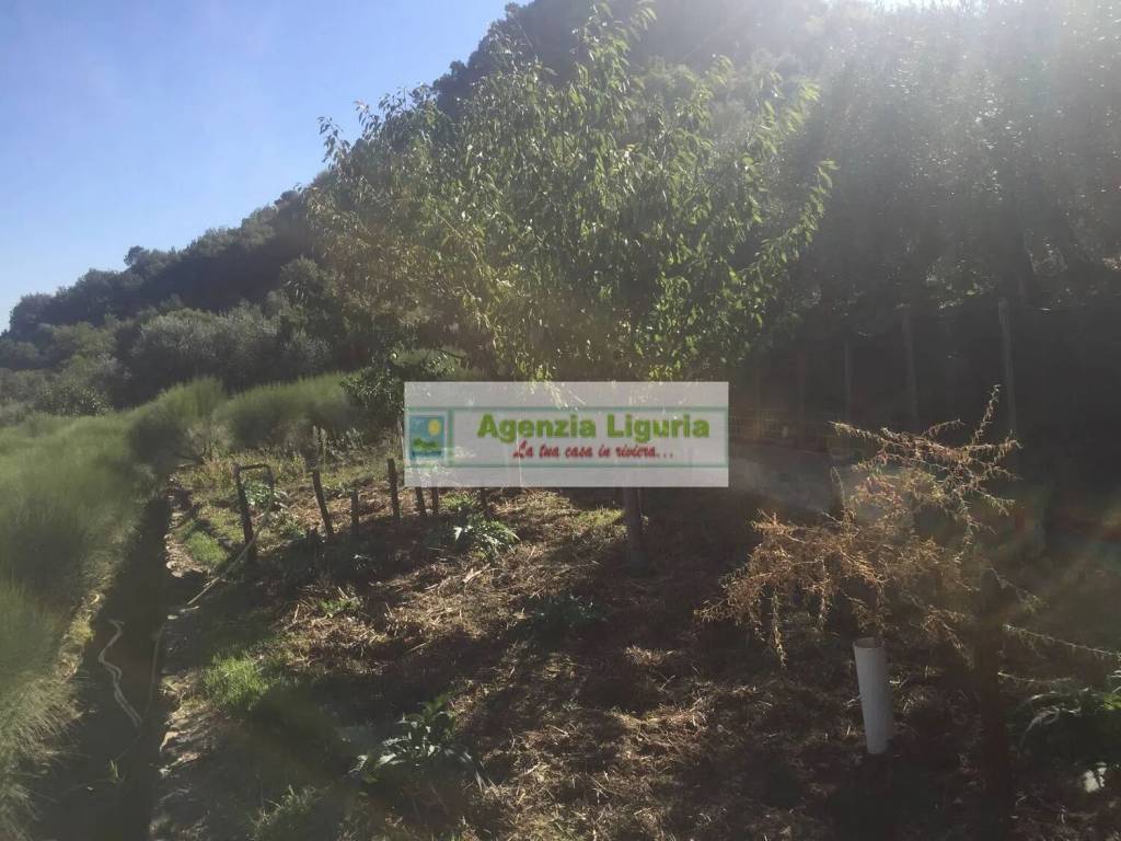 Terreno a Civezza in Regione Cian - Foto 2