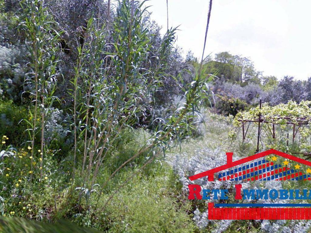 Terreno a Bisignano - Foto 2
