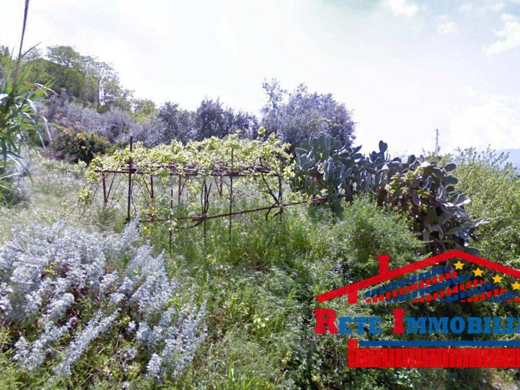 Terreno a Bisignano - Foto 4