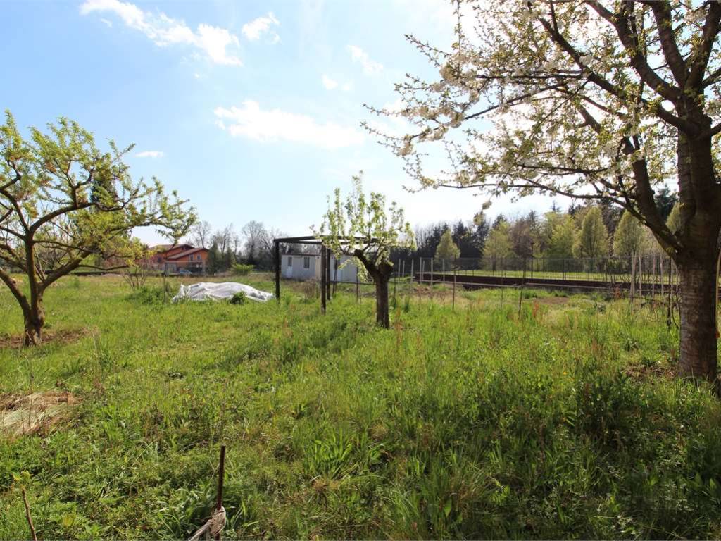 Terreno a Carnago - Foto 2
