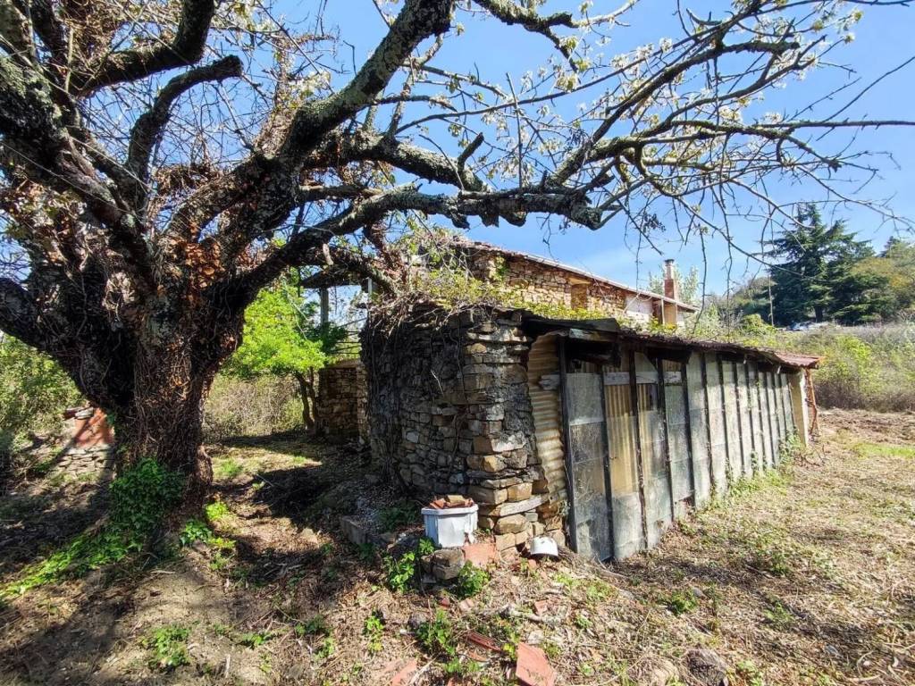Villa a Dolceacqua - Foto 4
