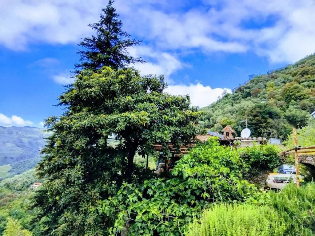 Villa a Perinaldo in Strada Santa Giusta, 26 - Foto 2