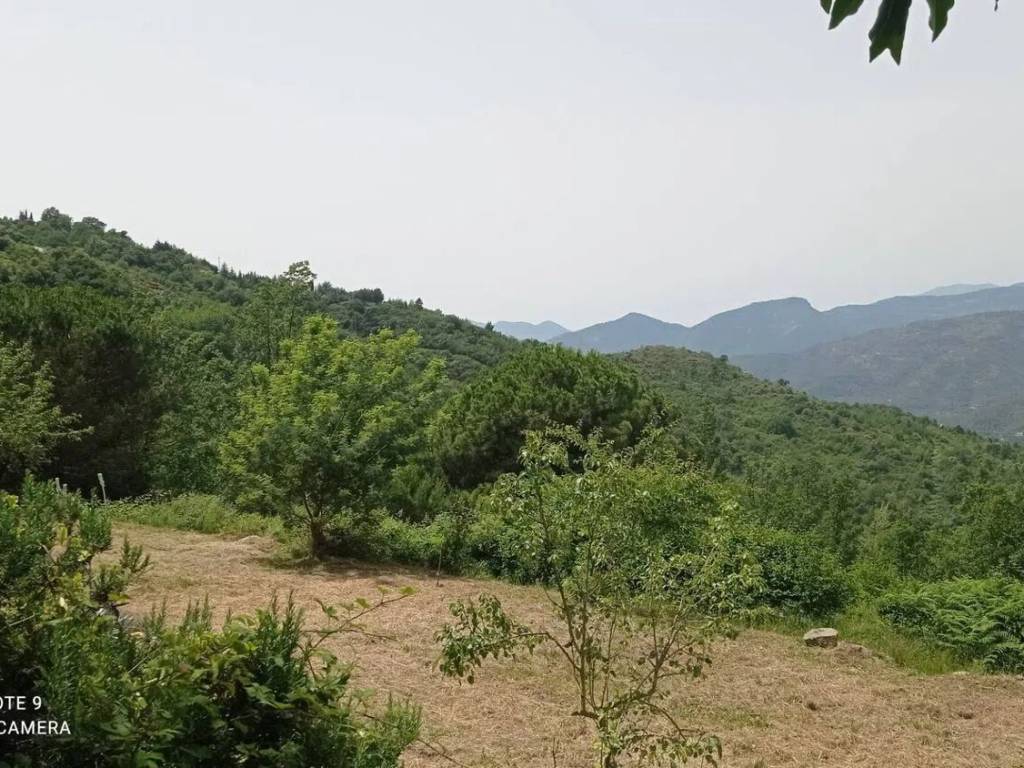 Villa a Perinaldo in Strada Provinciale 61 - Foto 3