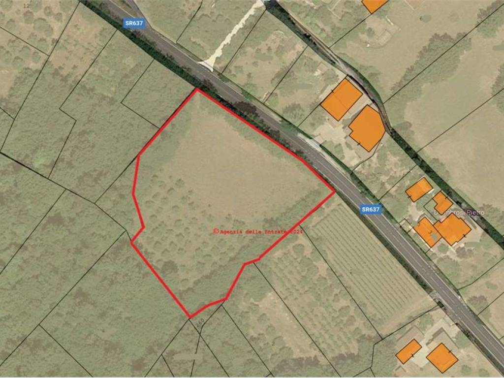 Terreno a Castro dei volsci in SR637, 17 - Foto 3