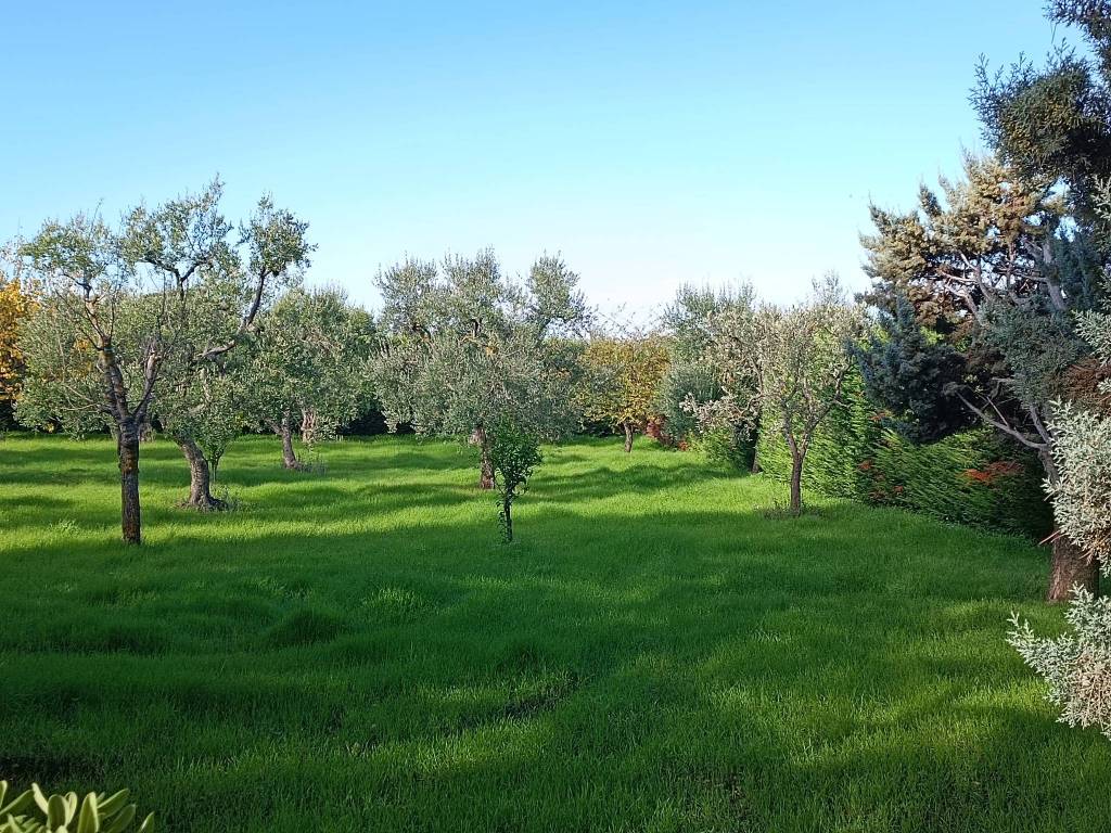 Villa a Andria in Contrada Abbondanza - Foto 3