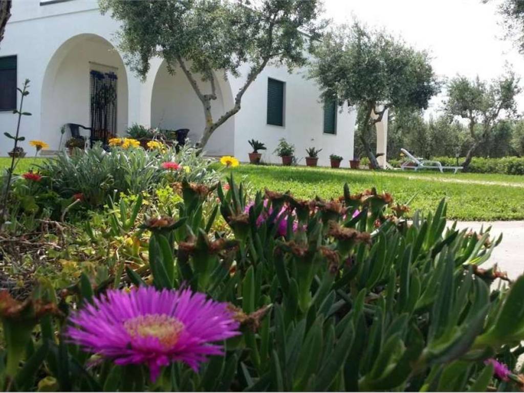 Villa a Carovigno - Foto 3