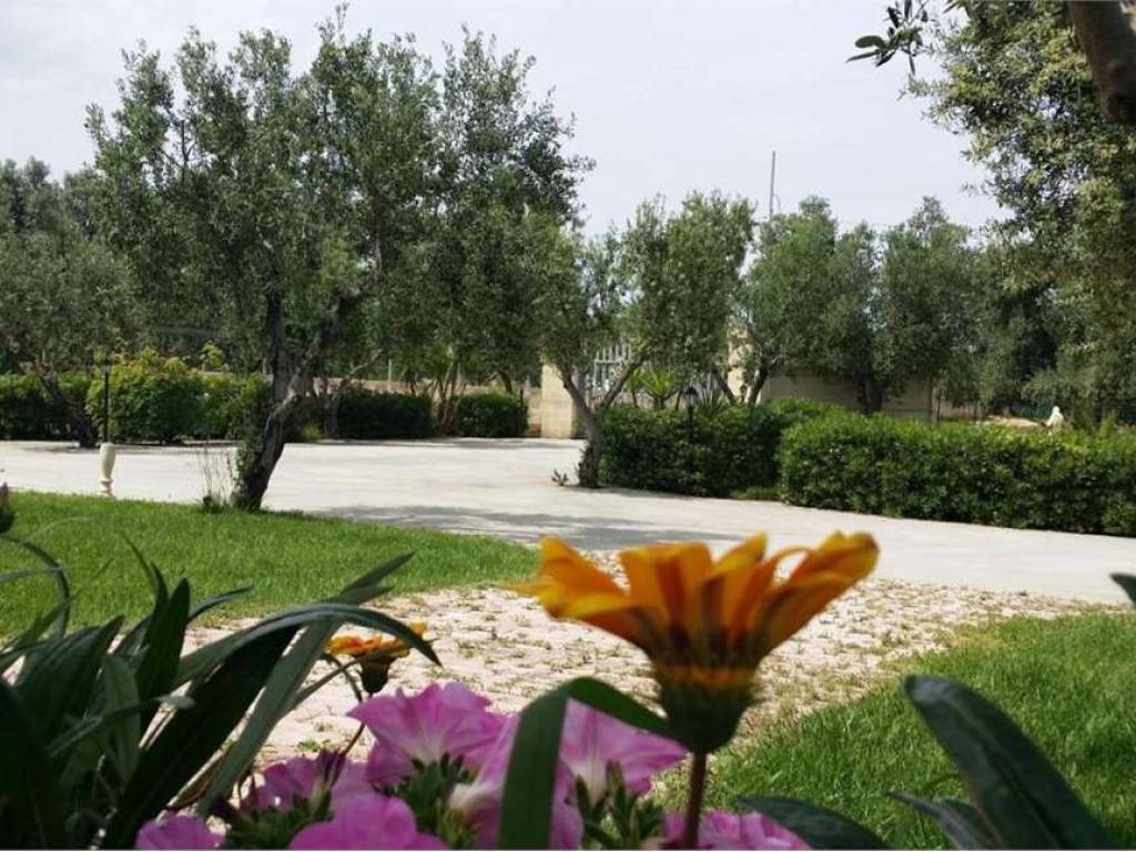 Villa a Carovigno - Foto 4