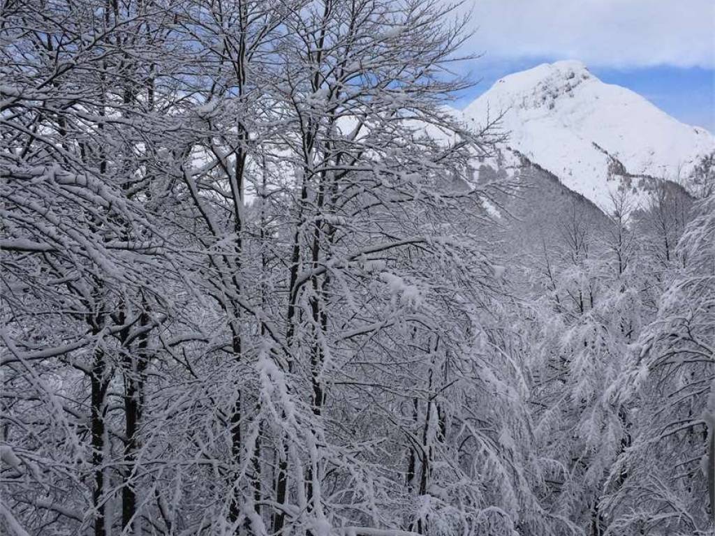 Appartamento a Aviano - Foto 4